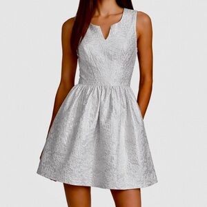 Kensie Silver Metallic Jacquard Fit & Flare Mini Dress Sleeveless Size Small